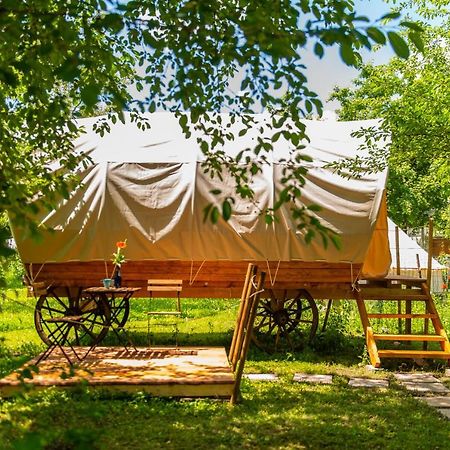 Dragonfly Gardens - The Wagons Otel Braşov Dış mekan fotoğraf