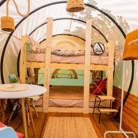 Dragonfly Gardens - The Wagons Otel Braşov Dış mekan fotoğraf