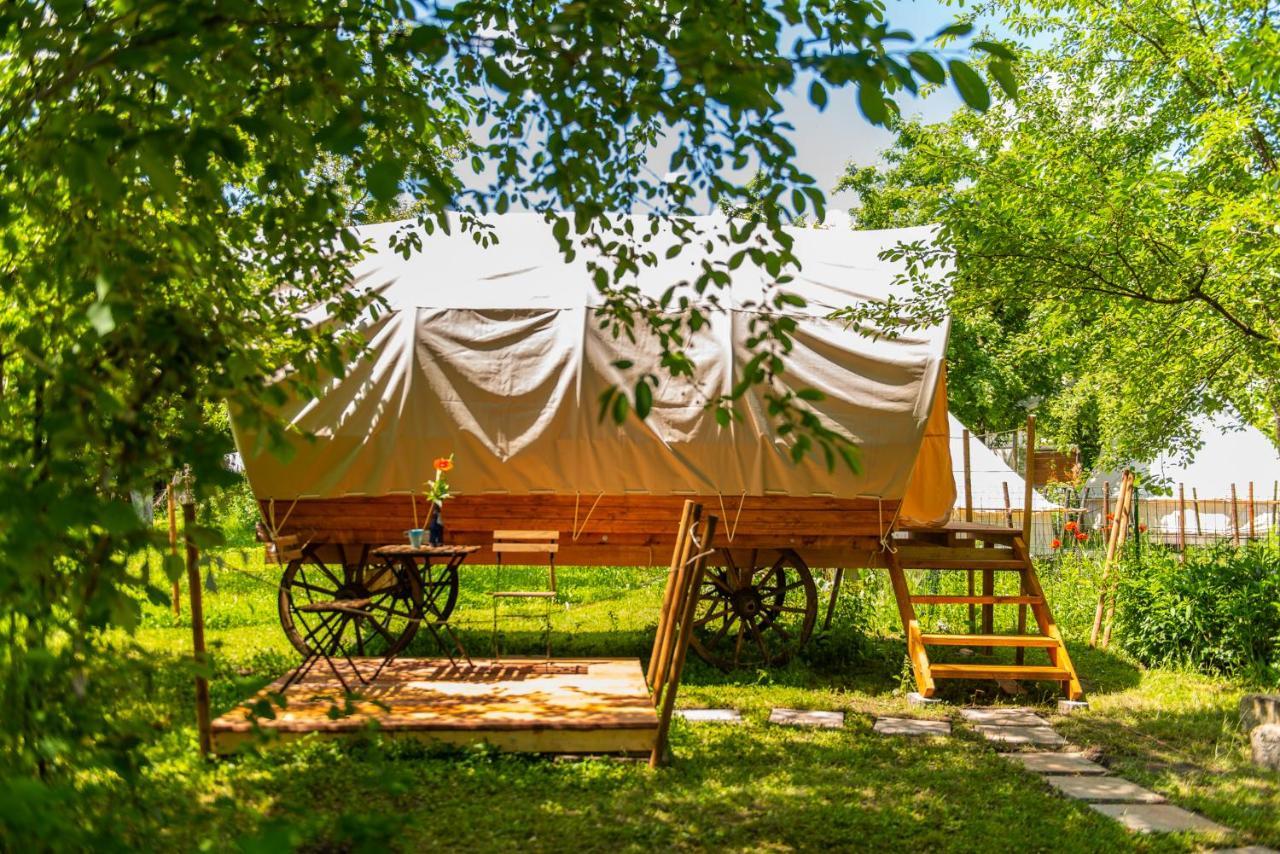Dragonfly Gardens - The Wagons Otel Braşov Dış mekan fotoğraf