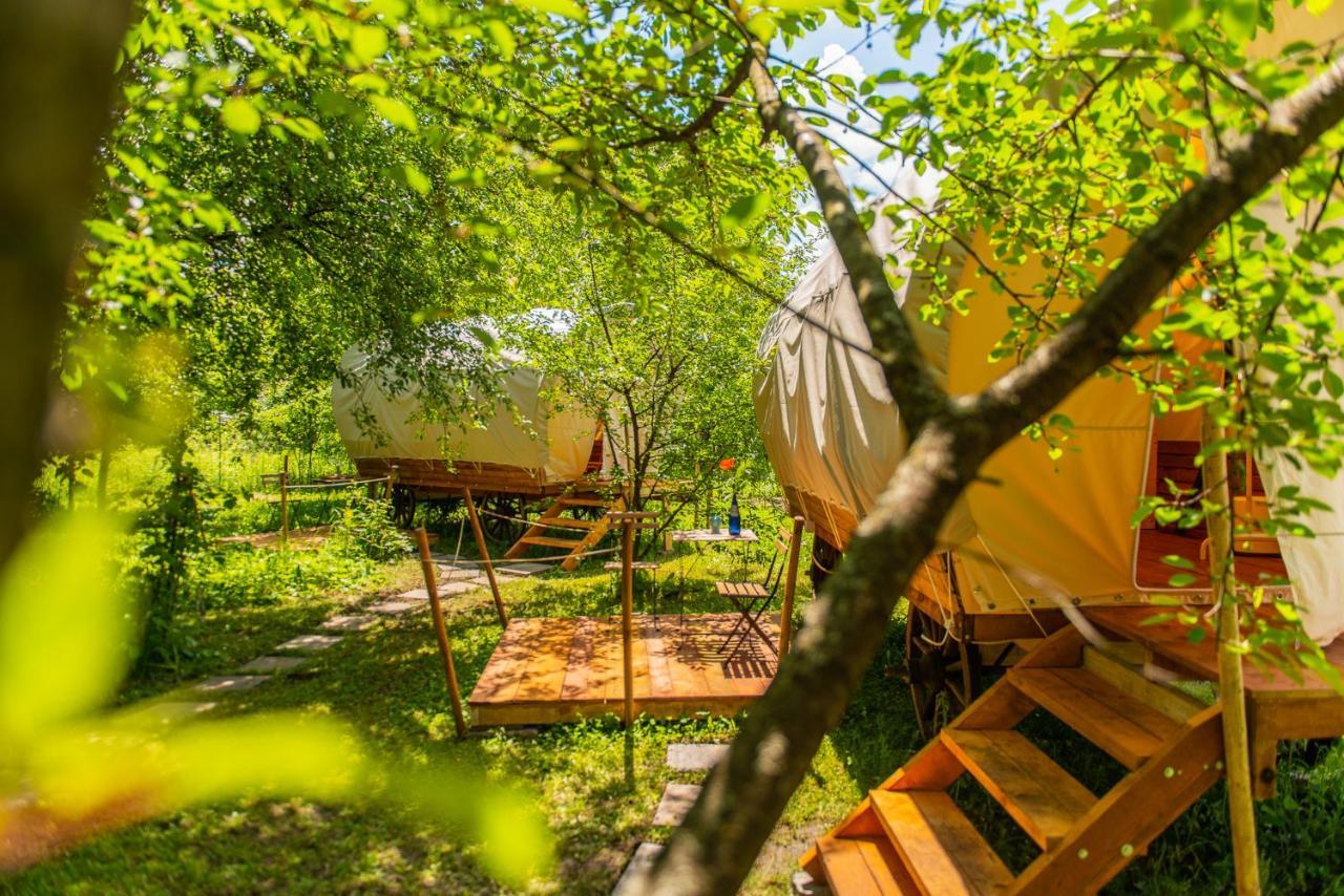 Dragonfly Gardens - The Wagons Otel Braşov Dış mekan fotoğraf
