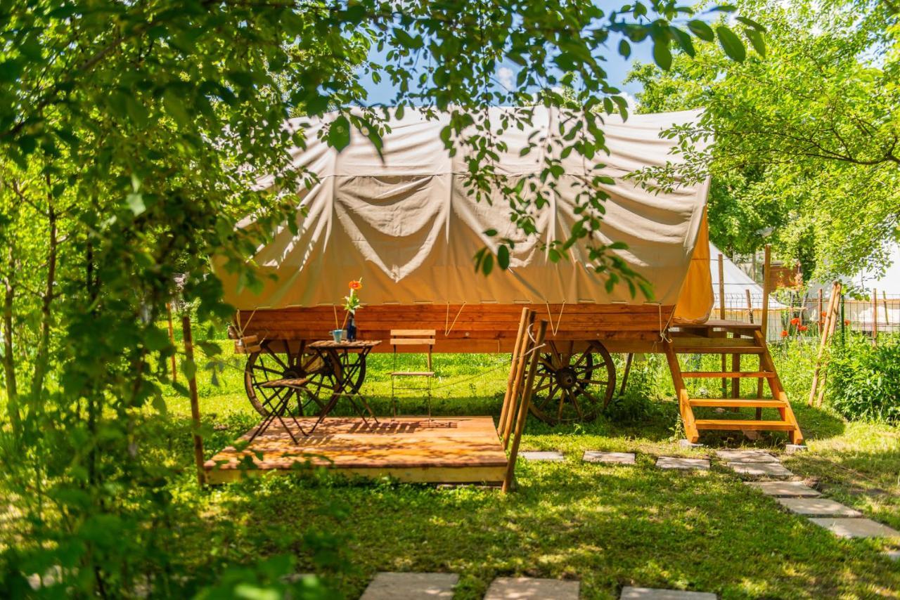 Dragonfly Gardens - The Wagons Otel Braşov Dış mekan fotoğraf