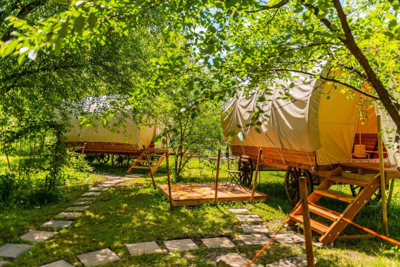 Dragonfly Gardens - The Wagons Otel Braşov Dış mekan fotoğraf