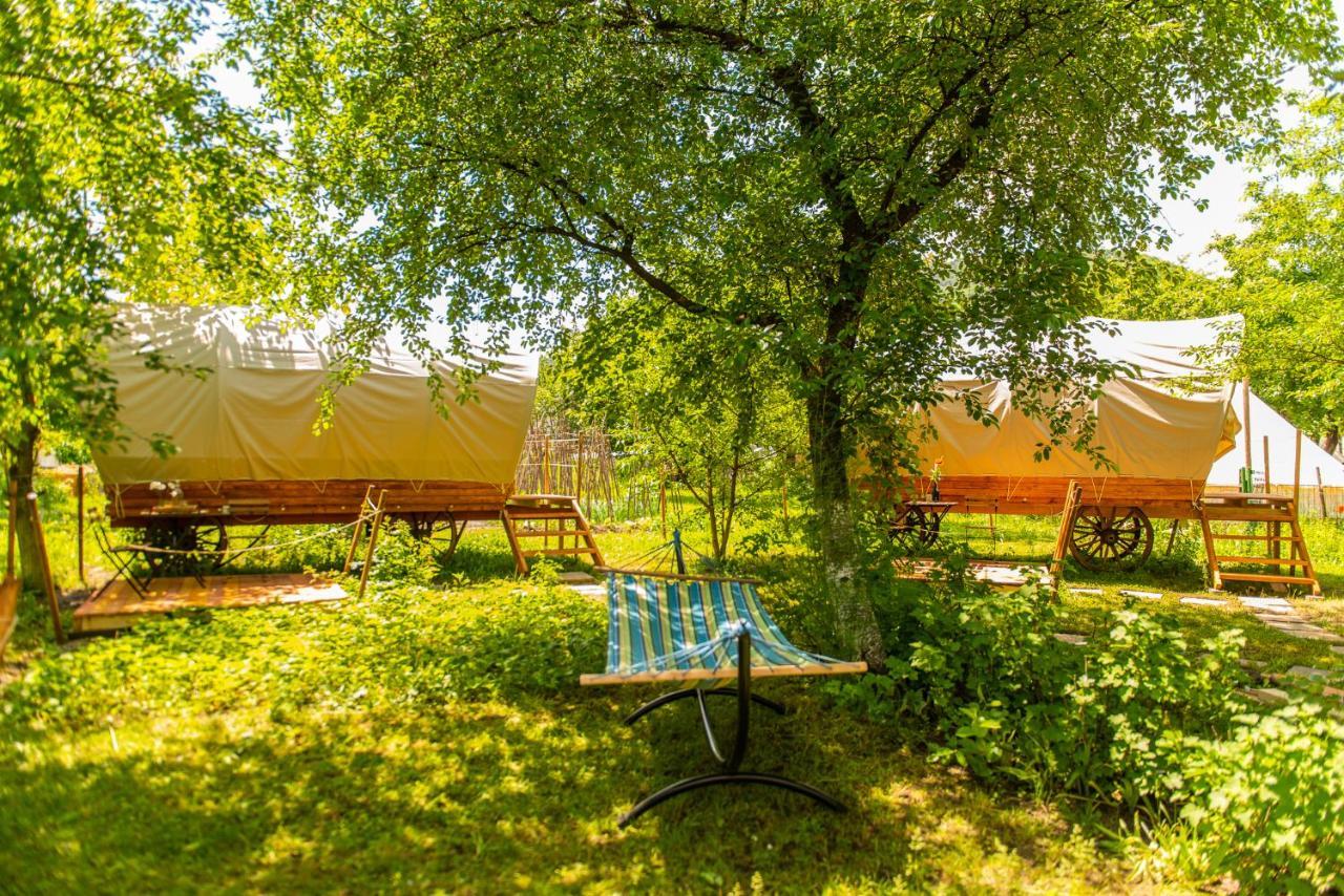 Dragonfly Gardens - The Wagons Otel Braşov Dış mekan fotoğraf