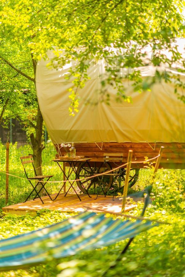 Dragonfly Gardens - The Wagons Otel Braşov Dış mekan fotoğraf