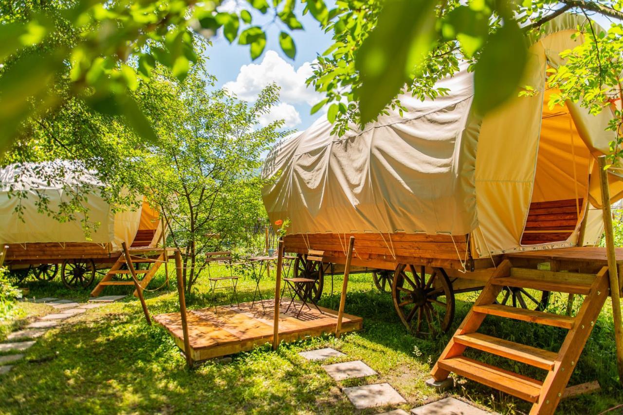 Dragonfly Gardens - The Wagons Otel Braşov Dış mekan fotoğraf