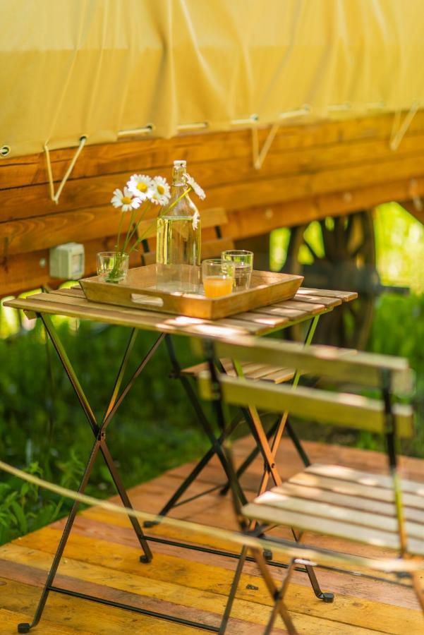 Dragonfly Gardens - The Wagons Otel Braşov Dış mekan fotoğraf