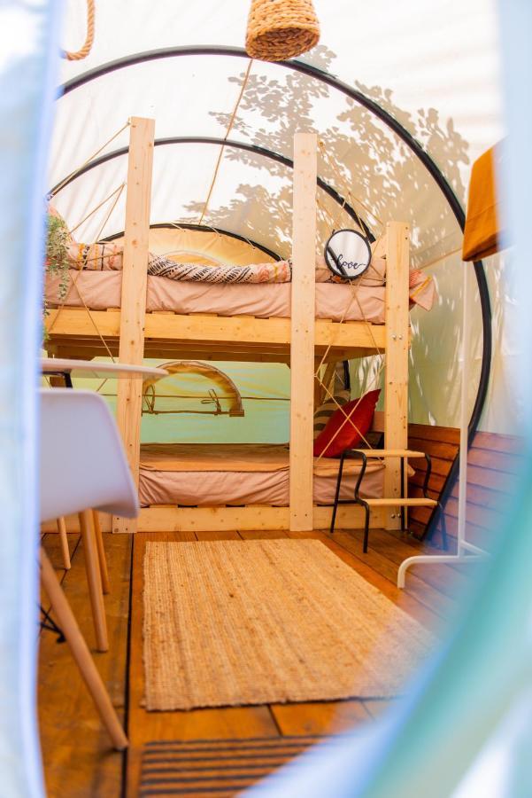 Dragonfly Gardens - The Wagons Otel Braşov Dış mekan fotoğraf