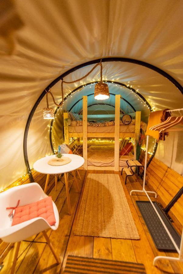 Dragonfly Gardens - The Wagons Otel Braşov Dış mekan fotoğraf