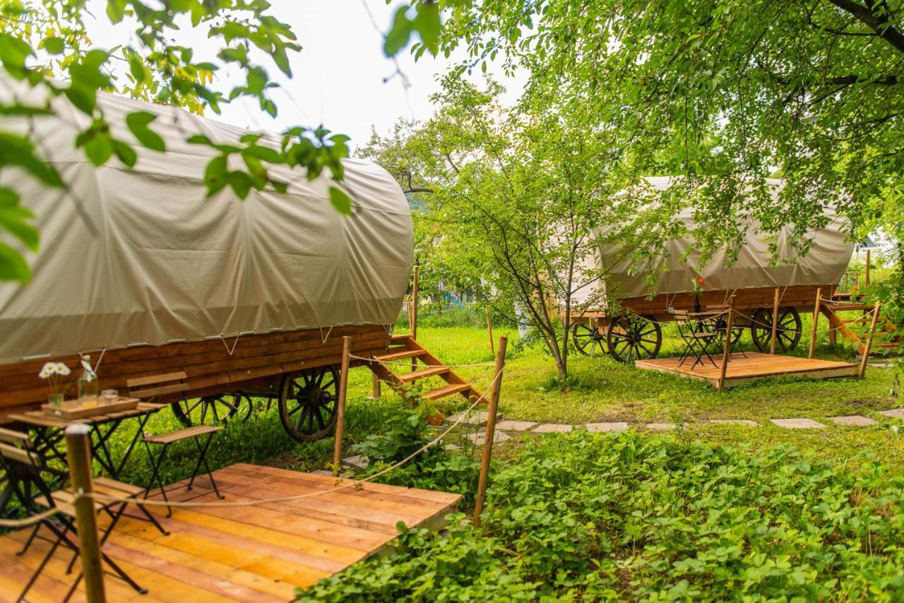 Dragonfly Gardens - The Wagons Otel Braşov Dış mekan fotoğraf
