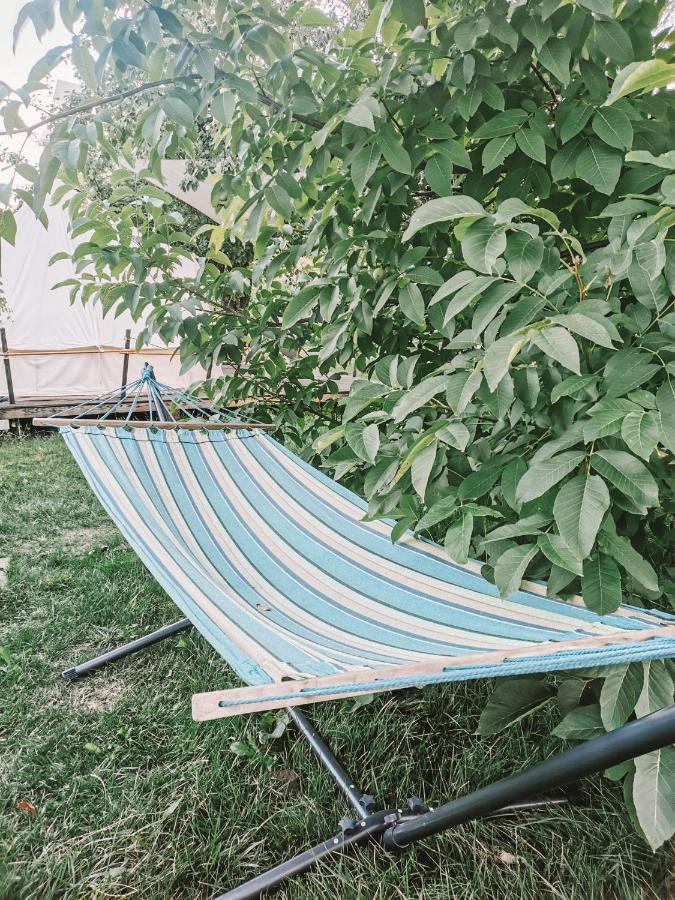 Dragonfly Gardens - The Wagons Otel Braşov Dış mekan fotoğraf