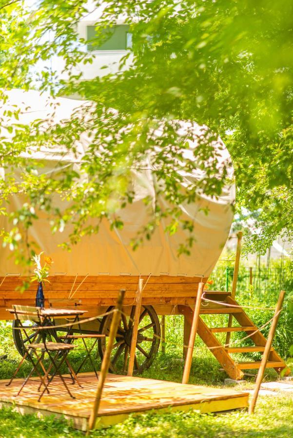 Dragonfly Gardens - The Wagons Otel Braşov Dış mekan fotoğraf