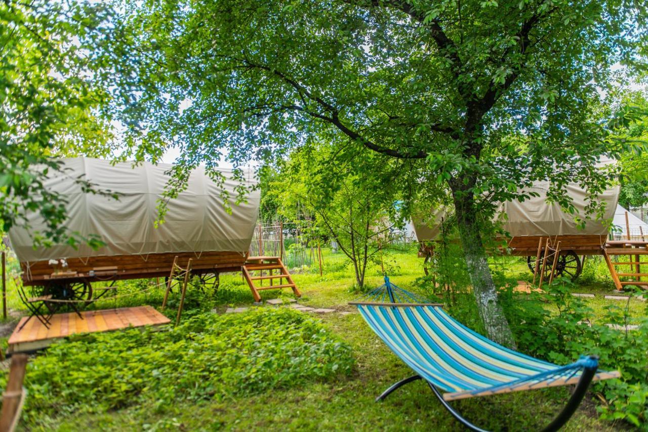 Dragonfly Gardens - The Wagons Otel Braşov Dış mekan fotoğraf