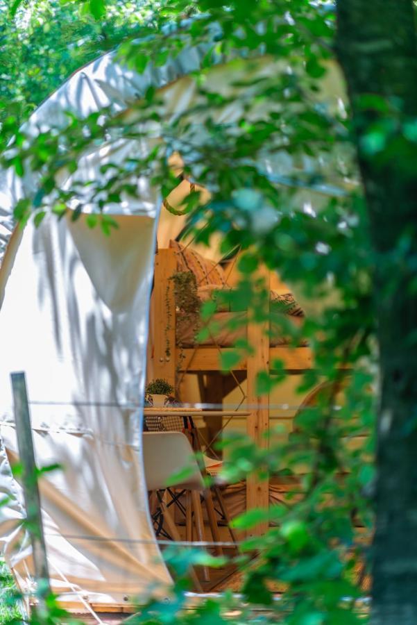 Dragonfly Gardens - The Wagons Otel Braşov Dış mekan fotoğraf