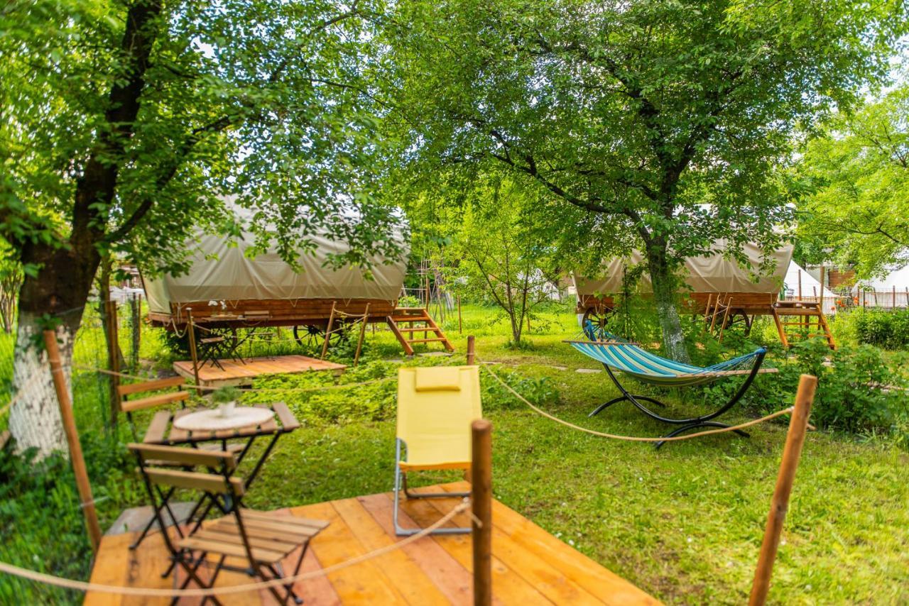 Dragonfly Gardens - The Wagons Otel Braşov Dış mekan fotoğraf