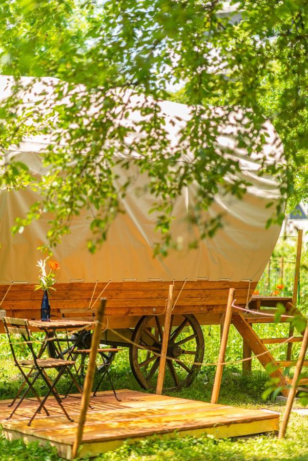 Dragonfly Gardens - The Wagons Otel Braşov Dış mekan fotoğraf