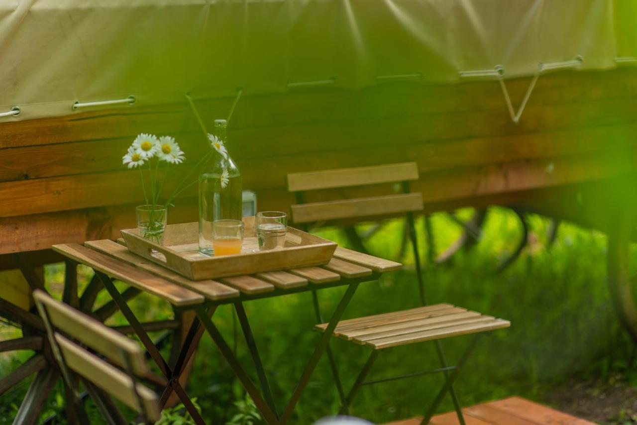 Dragonfly Gardens - The Wagons Otel Braşov Dış mekan fotoğraf