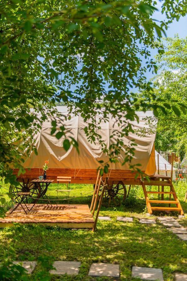 Dragonfly Gardens - The Wagons Otel Braşov Dış mekan fotoğraf