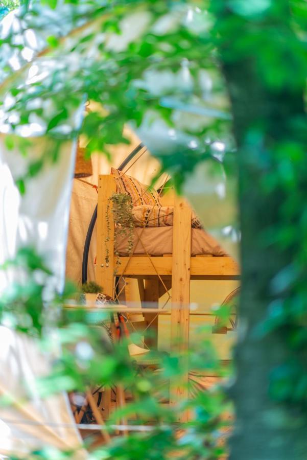 Dragonfly Gardens - The Wagons Otel Braşov Dış mekan fotoğraf
