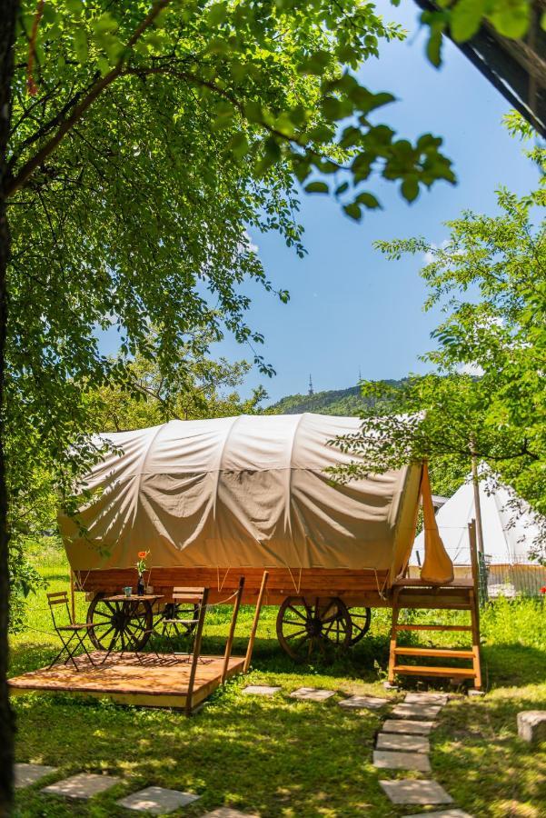 Dragonfly Gardens - The Wagons Otel Braşov Dış mekan fotoğraf