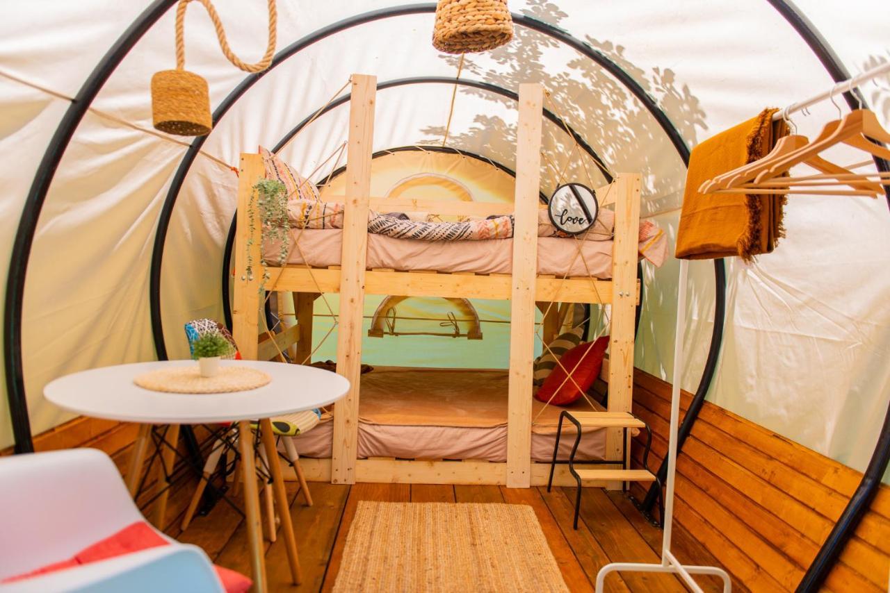 Dragonfly Gardens - The Wagons Otel Braşov Dış mekan fotoğraf